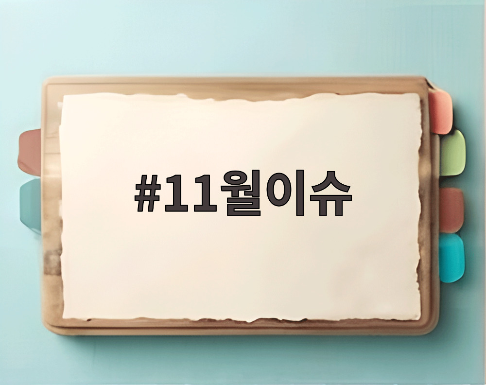 11월이슈