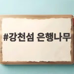 강천섬 은행나무