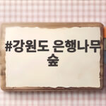 강원도 은행나무 숲 10월 한 달만 만나는 황금빛 풍경 강원도 은행나무 숲