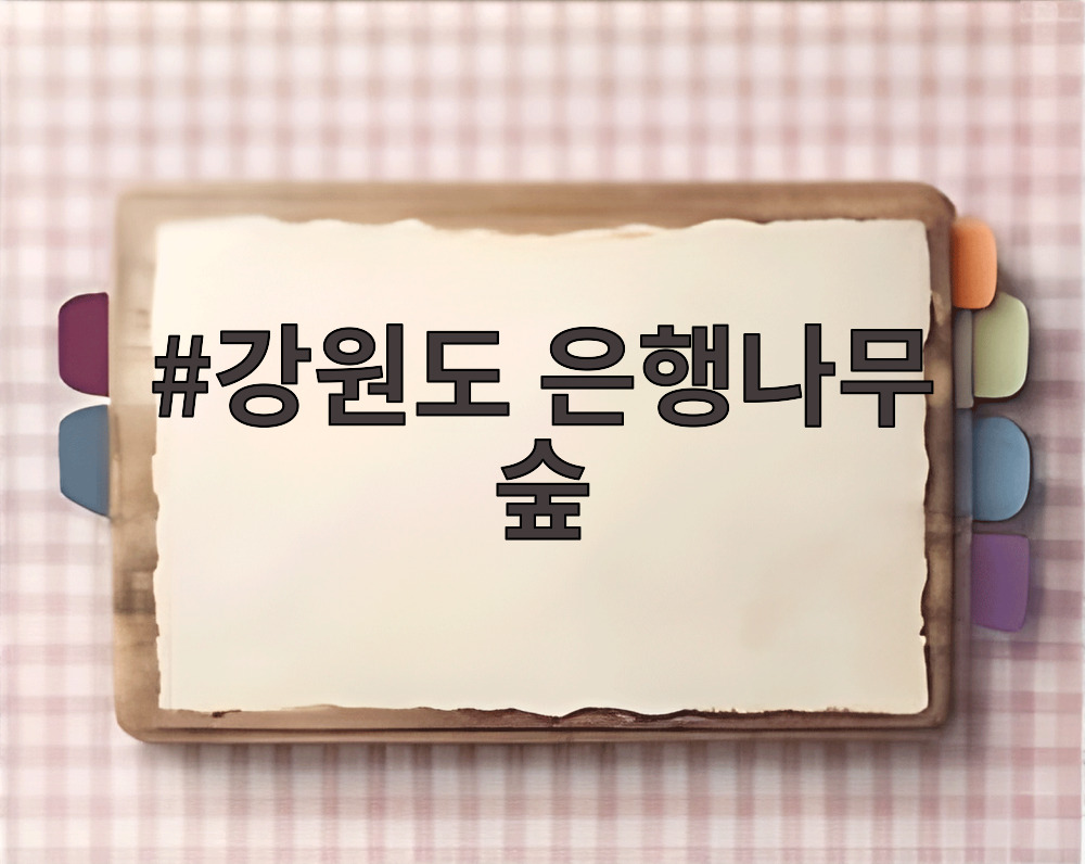 강원도 은행나무 숲