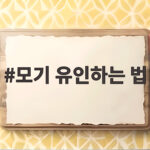 모기 유인하는 법 잠 못 이루는 밤 이렇게 해결합니다 모기 유인하는 법