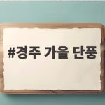 경주 가을 단풍 절정 시기 이때 놓치면 일 년을 후회합니다 경주 가을 단풍
