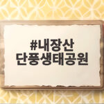 내장산 단풍생태공원 가을 산책 어디까지 즐길 수 있을까 내장산 단풍생태공원