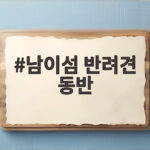 남이섬 반려견 동반 체중 기준부터 준비물까지 한 번에 확인 남이섬 반려견 동반