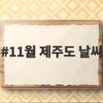 11월 제주도 날씨