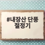 내장산 단풍 절정기 11월 4일 전후 평일이 정답입니다 내장산 단풍 절정기
