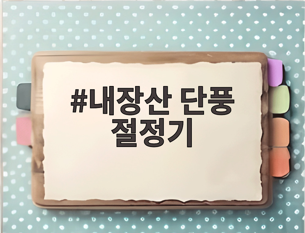 내장산 단풍 절정기