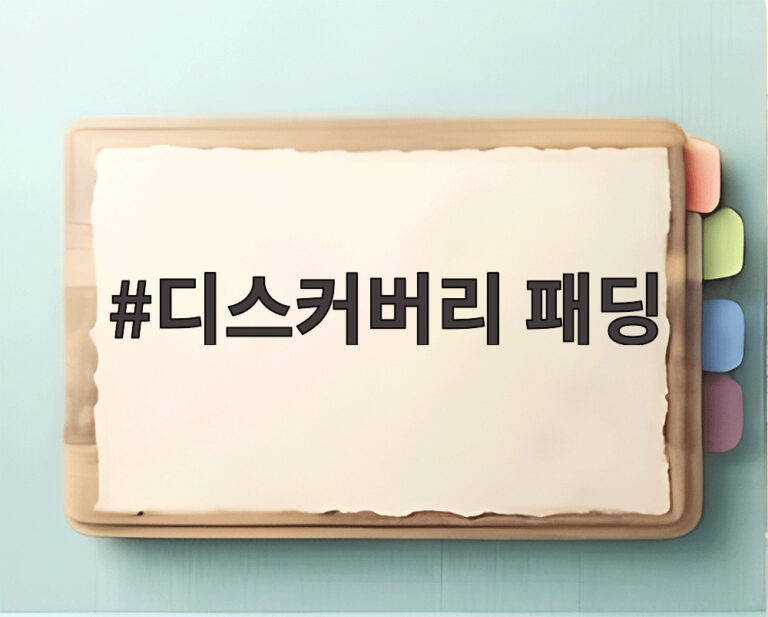 디스커버리 패딩