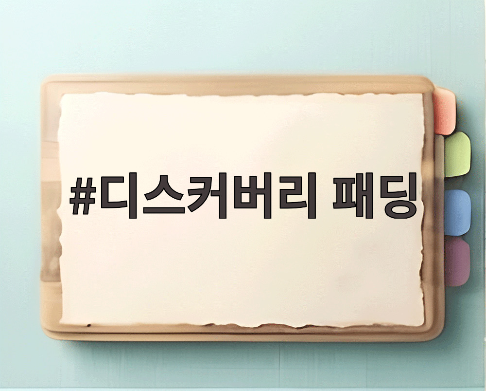 디스커버리 패딩