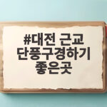 대전 근교 단풍구경하기 좋은곳