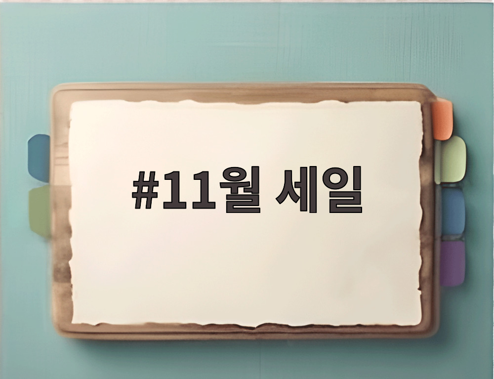 11월 세일
