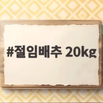 절임배추 20kg 몇 포기일까 김장 양과 양념 한 번에 준비하기 절임배추 20kg