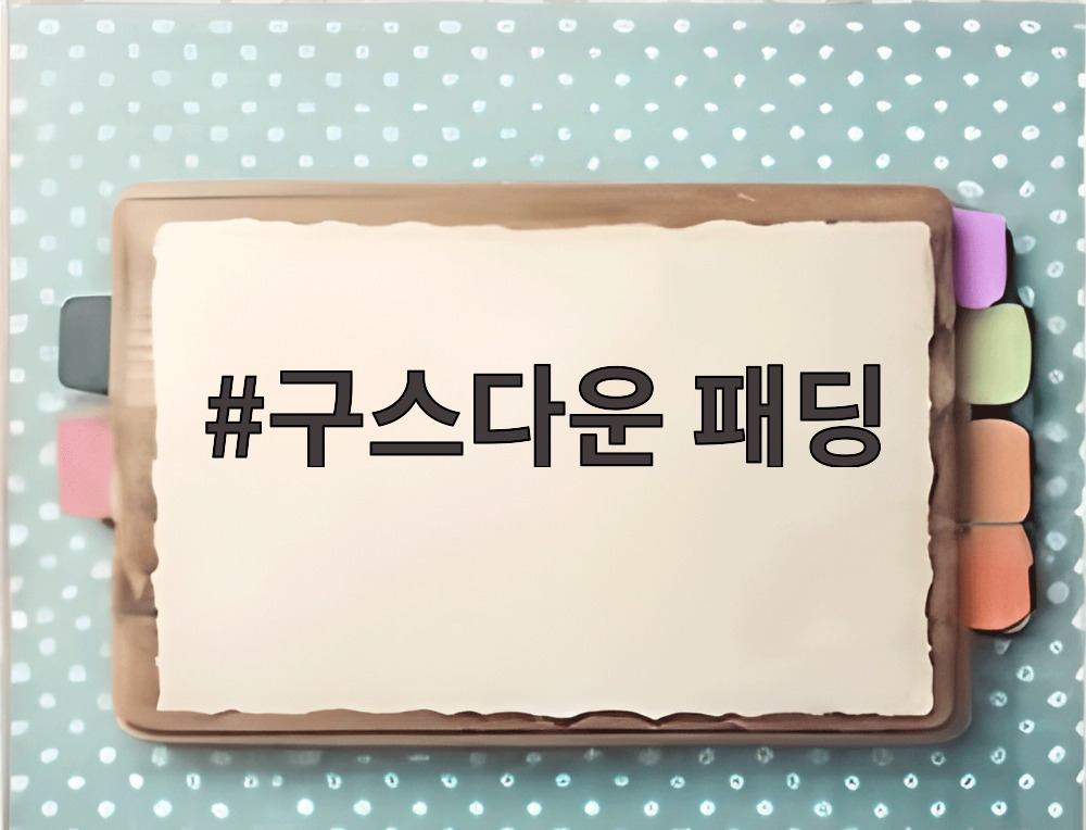 구스다운 패딩