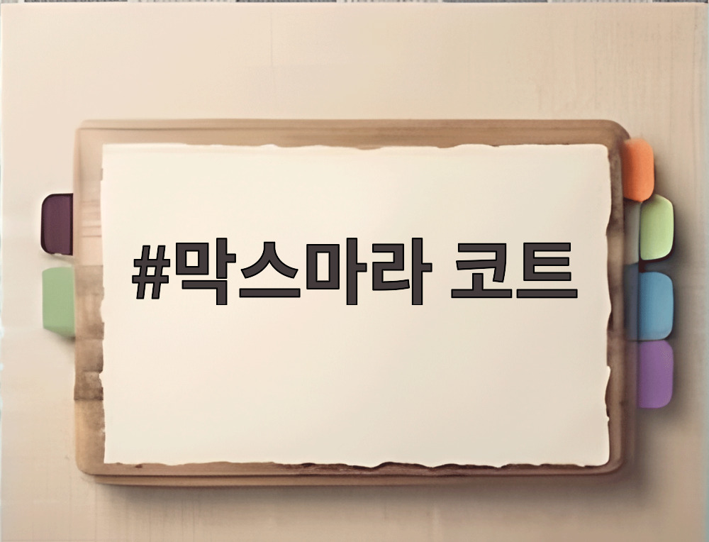 막스마라 코트