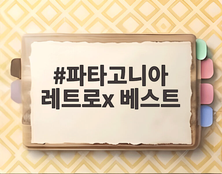 파타고니아 레트로x 베스트