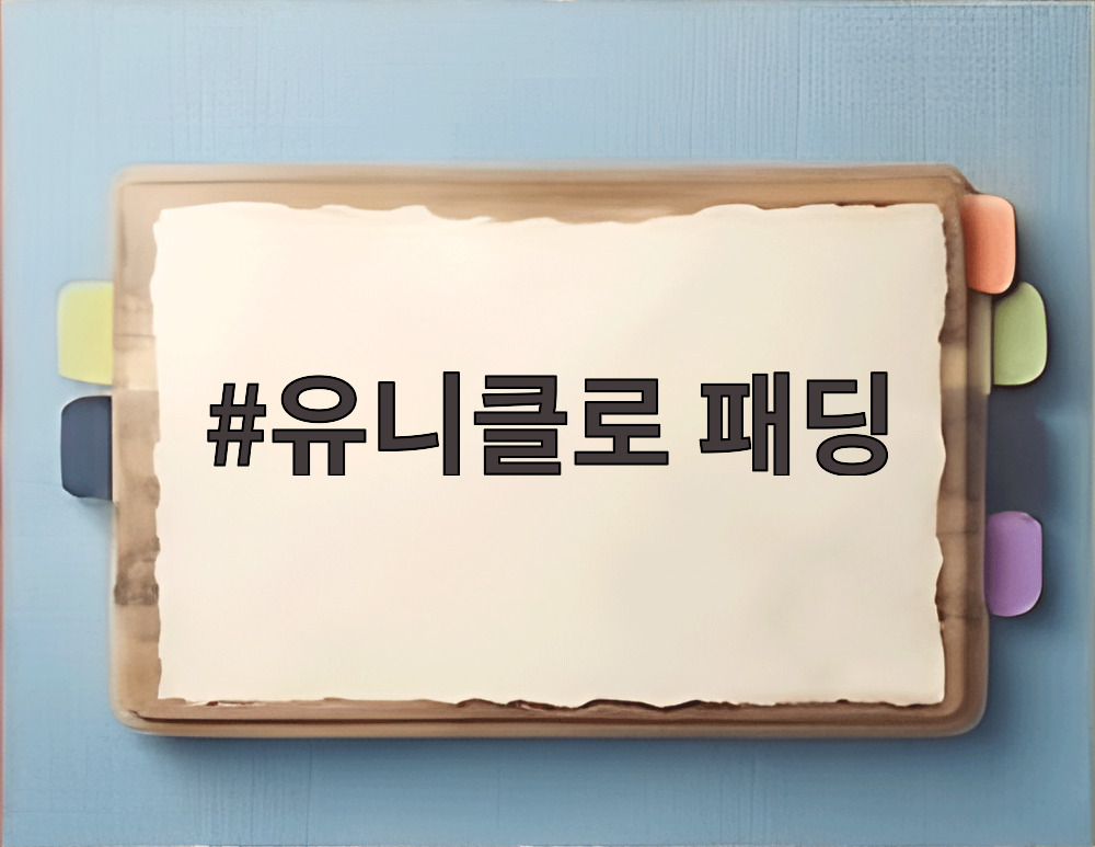 유니클로 패딩