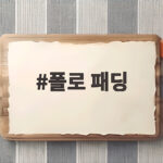 폴로 패딩