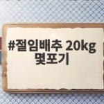 절임배추 20kg 몇포기