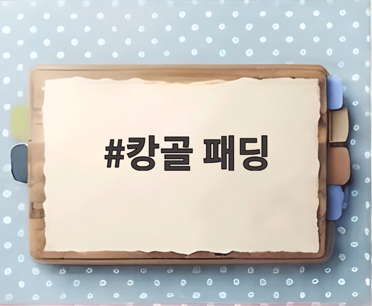 캉골 패딩