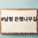 남평 은행나무길 단풍 실시간 현황과 입장료 주차 총정리 남평 은행나무길