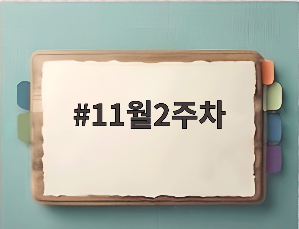 11월2주차