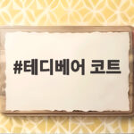 테디베어 코트 원조는 왜 지금도 거리에서 보일까 테디베어 코트