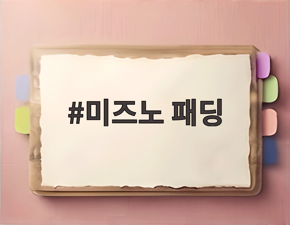 미즈노 패딩