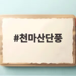 천마산단풍 절정 시기와 호평동 코스로 가을 산행 즐기는 방법 천마산단풍