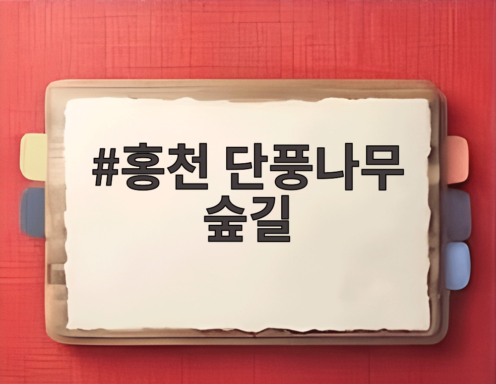 홍천 단풍나무 숲길
